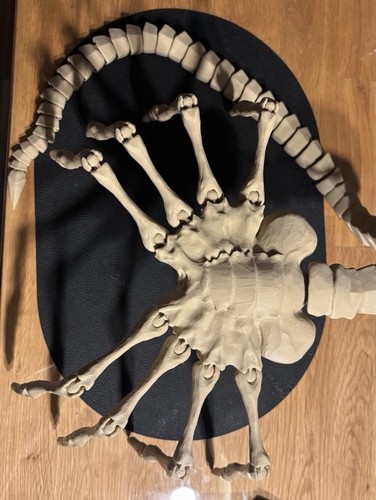 Sandfarben alien facehugger - alien,